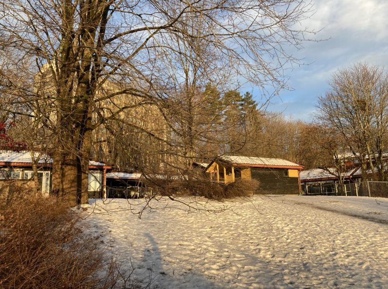 Gaustadsnippen Skolegård med snø
